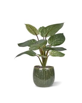 Philodendron Birkin Plante Artificielle 30cm en pot
