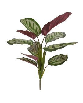 Calathea Roseopicta Plante Artificielle rouge 45cm