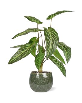 Caladium Lindenii Plante Artificielle de 50cm