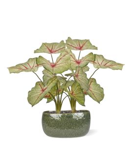 Caladium plante artificielle reine blanche 45cm