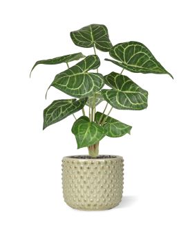Anthurium Clarinervium 35cm plante artificielle