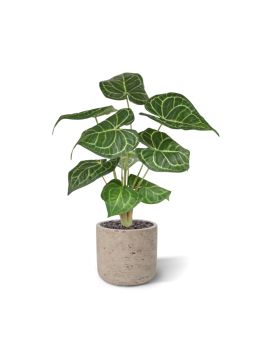 Anthurium Clarinervium plante artificielle de 35cm en pot