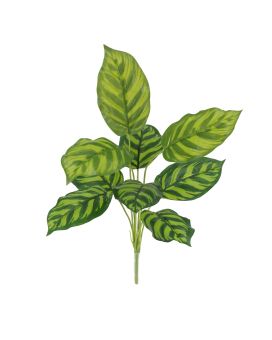 Calathea Maranta Artificielle 40cm