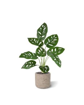 Plante Artificielle de Monstera Adonsonii 40cm en pot