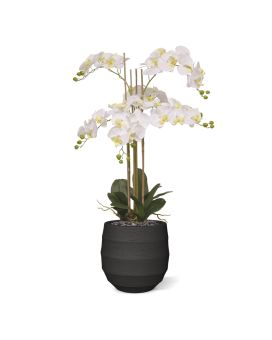 Orchidée Phalaenopsis Plante Artificielle 95cm blanche