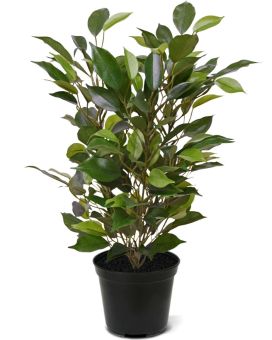Ficus Natacha Plante Artificielle 40cm en pot