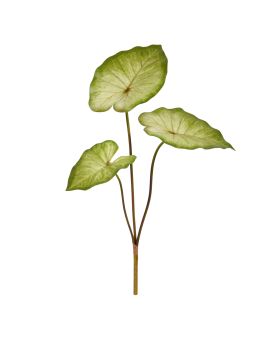 Plante Artificielle Caladium Aaron 60cm
