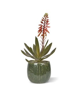Aloe Vera Plante artificielle 30cm rouge
