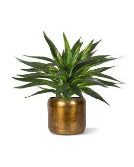 Draceana Plante artificielle verte 30cm