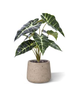 Plante artificielle Alocasia Promo 40cm verte