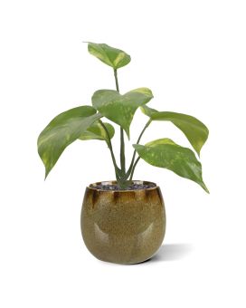Plante artificielle Pothos 20cm
