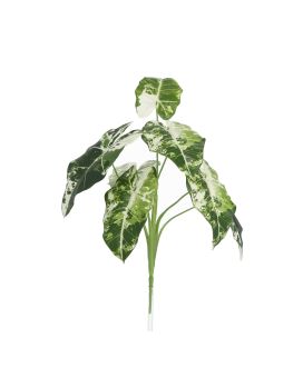 Plante Alocasia Frydek Artificielle Variegata 60cm