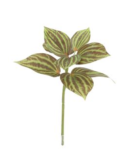 Plante de Peperomia Artificielle Verte/Marron 25cm