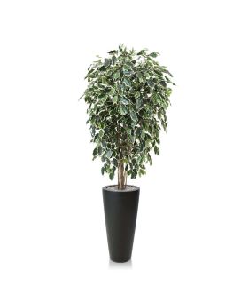 Ficus artificiel exotica deluxe de 150 cm panaché