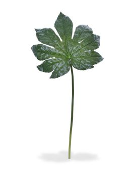 Feuille de Fatsia XL artificielle de 81 cm