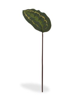 Tige artificielle de Roseopicta 50 cm