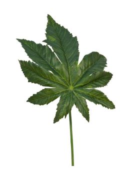 Branche d’ Aralia Artificiel 45 cm
