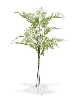 3x Branches d’ Asperges 85 cm - gerbe
