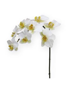 Orchidée de Phalaenopsis 80 cm blanc artificielle