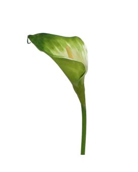 Fleur artificielle de Calla 55 cm vert-blanc