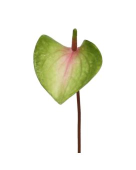 Fleur artificielle d'Anthurium S 50 cm rose-vert