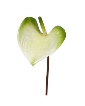 Fleur artificielle d'Anthurium S 50 cm blanc-vert