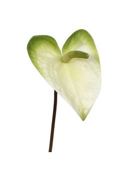 Fleur artificielle d'Anthurium M 55 cm blanc-vert