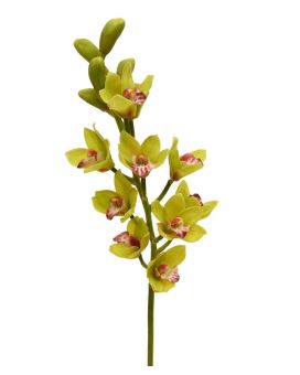 Cymbidium Deluxe Tige Artificielle 70 cm verte