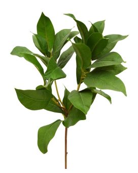 Branche de Laurier artificiel 60 cm