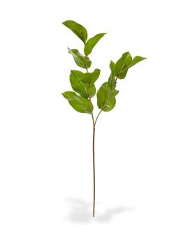 Branche de Salal artificielle deluxe M 65 cm