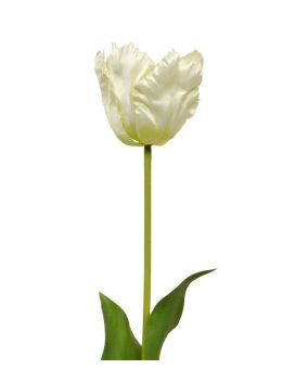 Tulipe van Gogh artificielle de 70 cm crème