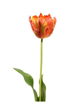 Tulipe van Gogh artificielle de 70 cm orange