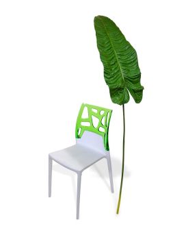 Alocasia feuille artificielle XL