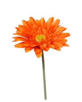 Tige de fleur Gerbera artificielle de 60 cm orange