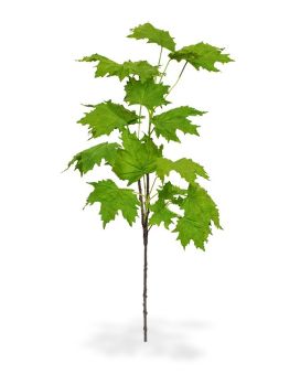 Branche de Platane (Maple) artificielle deluxe de 80 cm verte