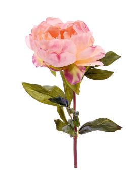 Pivoine (Paeonia) fleur artificielle de luxe 55 cm rose