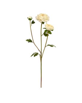Branche de Renoncule artificielle de 60 cm creme