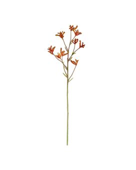 Le patte de Kangourou tige artificielle 70cm - orange