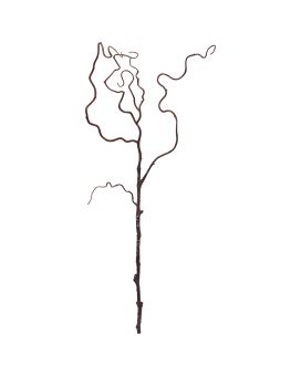 Branche de saule art 73cm marron