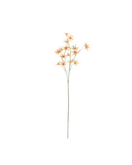 Tweedia Oxypetalum Artificielle 68cm Orange