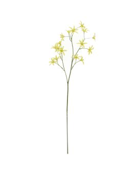 Tweedia Oxypetalum Artificielle 68cm Verte