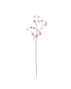 Tweedia Oxypetalum Artificielle 68cm Lila