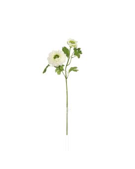 Branche de Renoncule Artificielle 46cm Crème