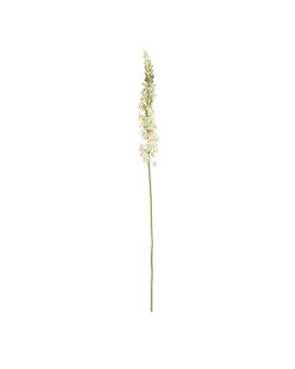 Tige d'Eremurus Artificielle 110cm Crème