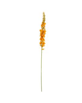 Tige d'Eremurus Artificielle 110cm Orange