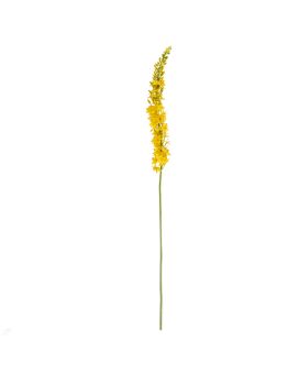Tige d'Eremurus Artificielle 110cm Jaune