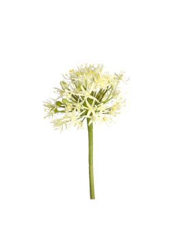 Tige d'Allium Artificielle 61cm Crème