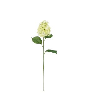 Tige d'Hortensia Artificielle 71cm Crème/Vert