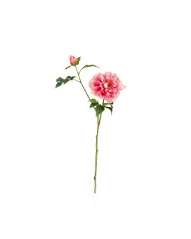 Tige de Pivoine Artificielle 65cm Cerise