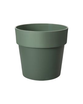 b.for original round 16 leaf green